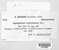 Image Associated With the Occurence